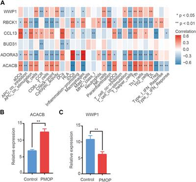 Identification of biomarkers associated with diagnosis of postmenopausal osteoporosis patients based on bioinformatics and machine learning